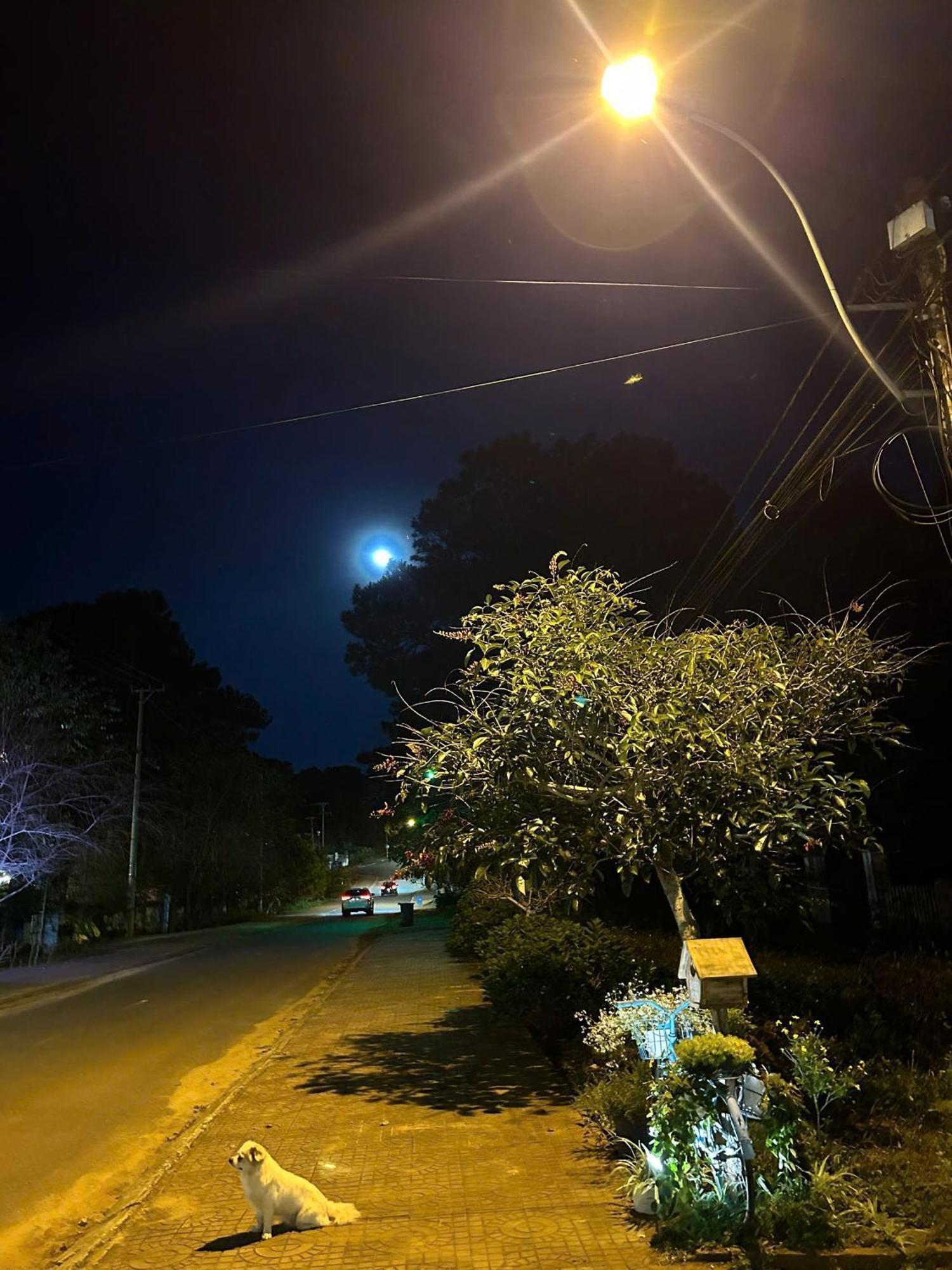 Chino Homestay Mang Den - Villa Tai Mang Den Kon Tum Luaran gambar