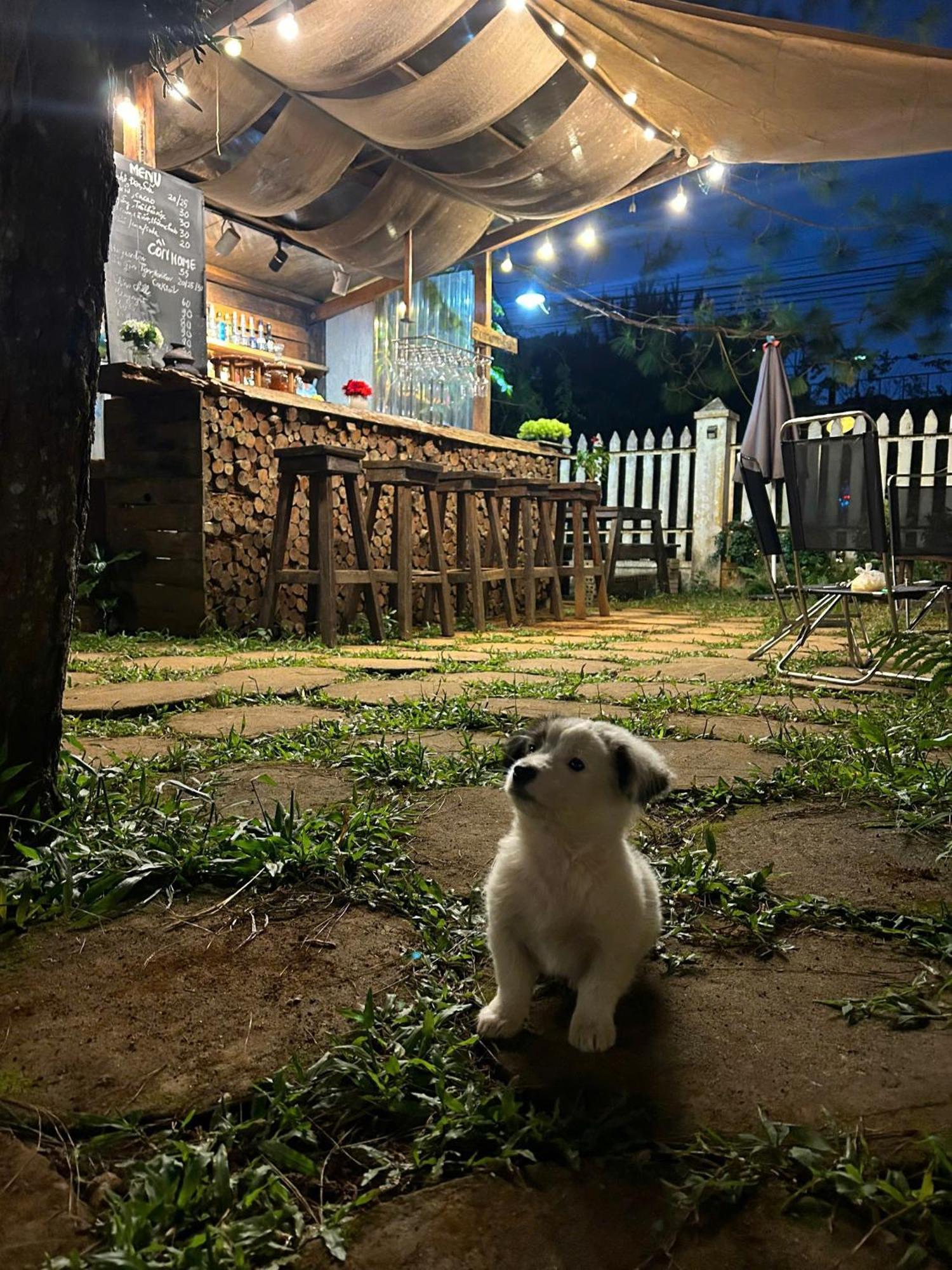 Chino Homestay Mang Den - Villa Tai Mang Den Kon Tum Luaran gambar
